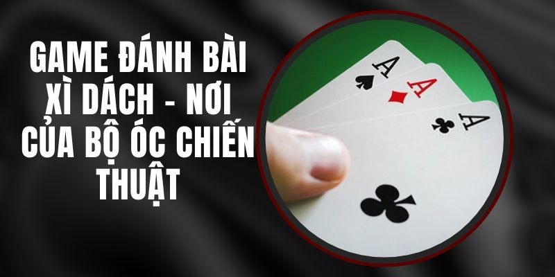 Game Đánh Bài Xì Dách - Nơi Của Bộ Óc Chiến Thuật